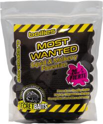Secret Baits Most Wanted Boilies 24mm / 1kg
