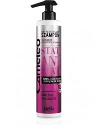 Delia Cosmetics Șampon cu efect antistatic pentru păr indisciplinat - Delia Cameleo Anti-Static Shampoo 250 ml