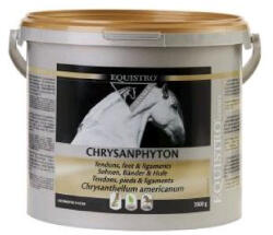 EQUISTRO Chrysanphyton grl 2kg (VQ440812)