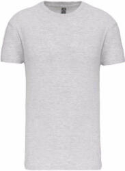 Kariban KA3025IC BIO150IC MEN'S ROUND NECK T-SHIRT (ka3025icash-m)