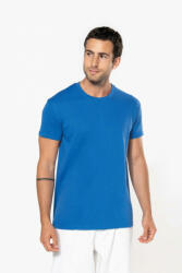 Kariban KA3025IC BIO150IC MEN'S ROUND NECK T-SHIRT (ka3025icsngr-l)
