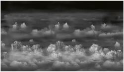 VLAdiLA Tapet VLAdiLA Foggy Landscape Nightview 520 x 300 cm (VLDLW0738STM520)