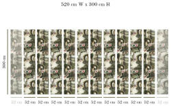 VLAdiLA Tapet VLAdiLA Călușarii 520 x 300 cm (VLDLW0296STM520)