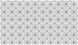 VLAdiLA Tapet VLAdiLA Raza de soare (alb negru) 520 x 300 cm (VLDLW0643STM520)