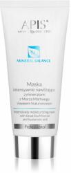 Apis Natural Cosmetics Hydro Balance Professional mască facială intens hidratantă cu minerale din Marea Moartă 200 ml Masca de fata
