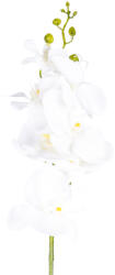 4-Home Orhidee artificială albă, 86 cm - e4home - 29,99 RON
