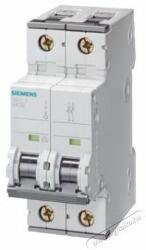 Siemens 5SY5210-6 AC/DC 10KA 2P B 10A kismegszakító