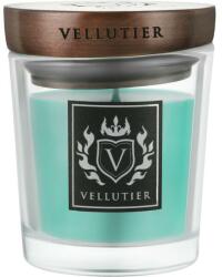 Vellutier Lumânare parfumată Sensual Charm - Vellutier Sensual Charm 515 g