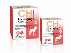  Chemical Iberica Hyalophyt MSM Giants, supliment pentru articulatii, 30 cpc