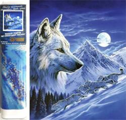 NORIMPEX - Puzzle Pictură cu diamant Noční lovci 30x40cm - 1 - 39 piese