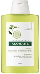 Klorane - Șampon cu pulpă de citrice pentru păr cu tendință de îngrășare, Klorane Sampon 200 ml
