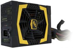 FSP Aurum Pro 1000W Gold (PPA10A1401)