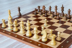  PROFESSZIONÁLIS juharfa sakk-készlet