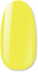 NiiZA Gel Polish 7ml - 427