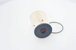 Bosch 1457070013 Filtru combustibil