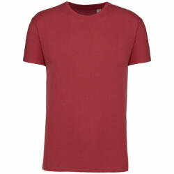 Kariban KA3025IC BIO150IC MEN'S ROUND NECK T-SHIRT (ka3025icter-l)