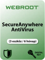 Webroot SecureAnywhere AntiVirus (3 Device /6 Month) (WSAAV3-6H)
