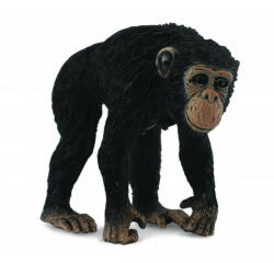 CollectA Cimpanzeu Femela - Collecta (COL88493M) - roua