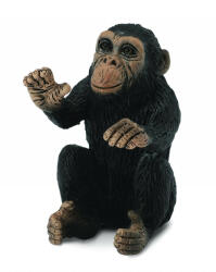 CollectA Cimpanzeu Pui - Collecta (COL88494S) - roua Figurina