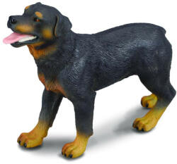CollectA Rottweiler - Collecta (COL88189L) - roua Figurina