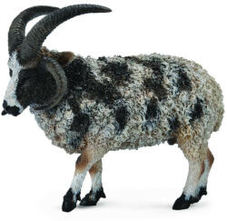 CollectA Figurina Jacob Sheep L Collecta (COL88728L) - roua