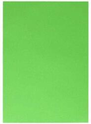 Spirit Spirit: Világos zöld színű dekorációs karton 220g A/4-es méretben 1db (406650) - pepita
