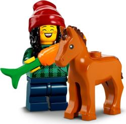 LEGO® Minifigures Series 22 - Horse and Groom (71032-5)