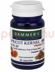 Dammer's Apricot Kernel Sárgabarackmag kapszula 40 db