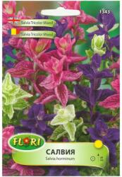 Florian Ltd Seminte de salvia tricolor mix, 400 seminte, FLORIAN (HCTG01519)