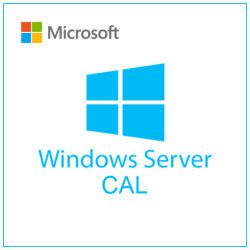 Microsoft Windows Server 2025 1 User CAL - licenta permanenta (DG7GMGF0PWHT:0002)