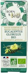 Born To Bio Ulei Esential de Eucalipt Globus Bio, 10 ml, Born to Bio