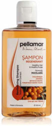 Pell Amar Sampon regenerant cu extract de catina Beauty Hair, 250 ml, Pellamar