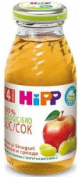 HiPP Suc de mere si struguri 100% natural, +4 luni, 200 ml, Hipp