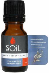 SOIL Ulei Esențial Eucalipt Pur 100% Organic, 10 ml, SOiL