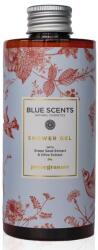 Blue Scents Gel de dus Pomegranate, 300 ml, Blue Scents
