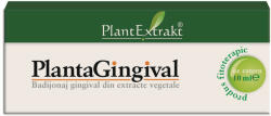 Plant Extrakt PlantaGingival, 10 ml, Plant Extrakt