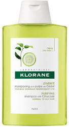 Klorane Șampon cu pulpă de citrice pentru păr cu tendință de îngrășare, 200 ml, Klorane