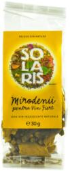 Mirodenii pentru Vin Fiert, 30 g, Solaris