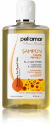 Pell Amar Sampon cu extract de floarea-soarelui pentru par vopsit Beauty Hair, 250 ml, Pellamar