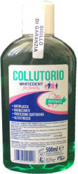 WHITEDENT Apa de gura collutori Family, 500 ml, Whitedent
