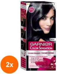 Garnier Set 2 x Vopsea de Par Permanenta cu Amoniac Garnier Color Sensation 1.0 Negru Onix, 110 ml