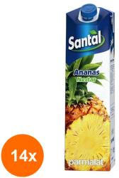 Santal Set 14 x Nectar de Ananas 50%, Santal, 1 l