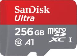 SanDisk microSDXC 256GB C10 (SDSQUAC-256G-GN6MN)