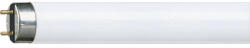 Philips Tub fluorescent 36W T8 6500K 1metru TL-D/86 (927923086514)