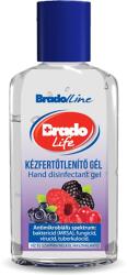 Florin Bradolife kézfertőtlenítő gél - Gyümölcsös - 50 ML - 1 db