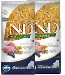 N&D Dog Ancestral Grain bárány, tönköly, zab & áfonya puppy medium & maxi 2x12kg