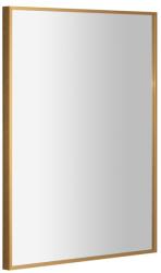 SAPHO AROWANA 60x80 cm keretes tükör, matt arany AWZ6080 (AWZ6080)