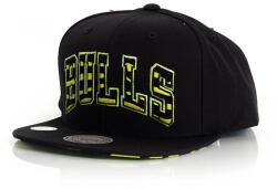 Mitchell and Ness Retro 10 Venom Green Workmark Bulls