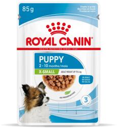 Royal Canin X-Small Puppy - hrană umedă 12 x 85 g