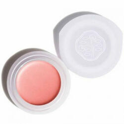 Shiseido - Fard de pleoape Shiseido Paperlight Cream Eye Fard de pleoape 6 g Or707